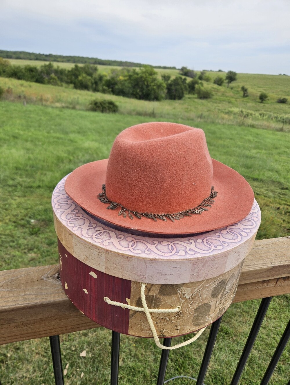 Boho Fedora Hat D&Y Wool Felt Rust Pink Wide Brim Autumn Leaf Metallic Trim